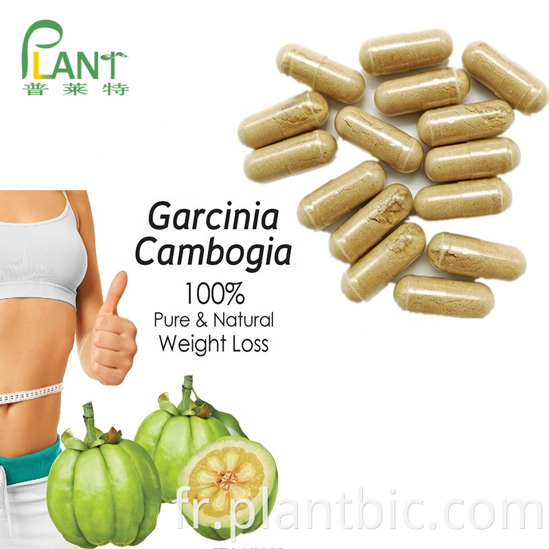 Pure Garcinia Cambogia Extract